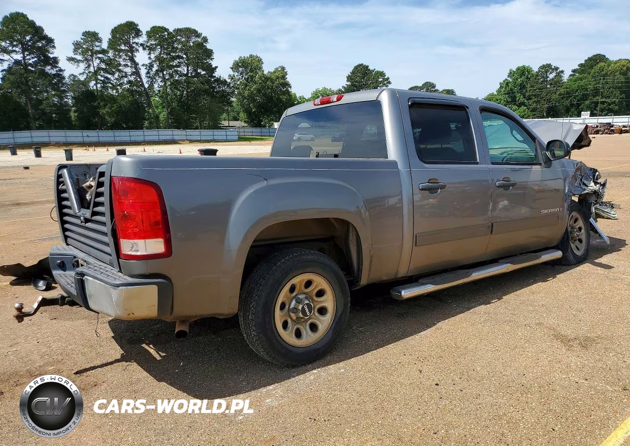 2009 GMC Sierra C1500 VIN:3GTEC13C39G190636 - 3