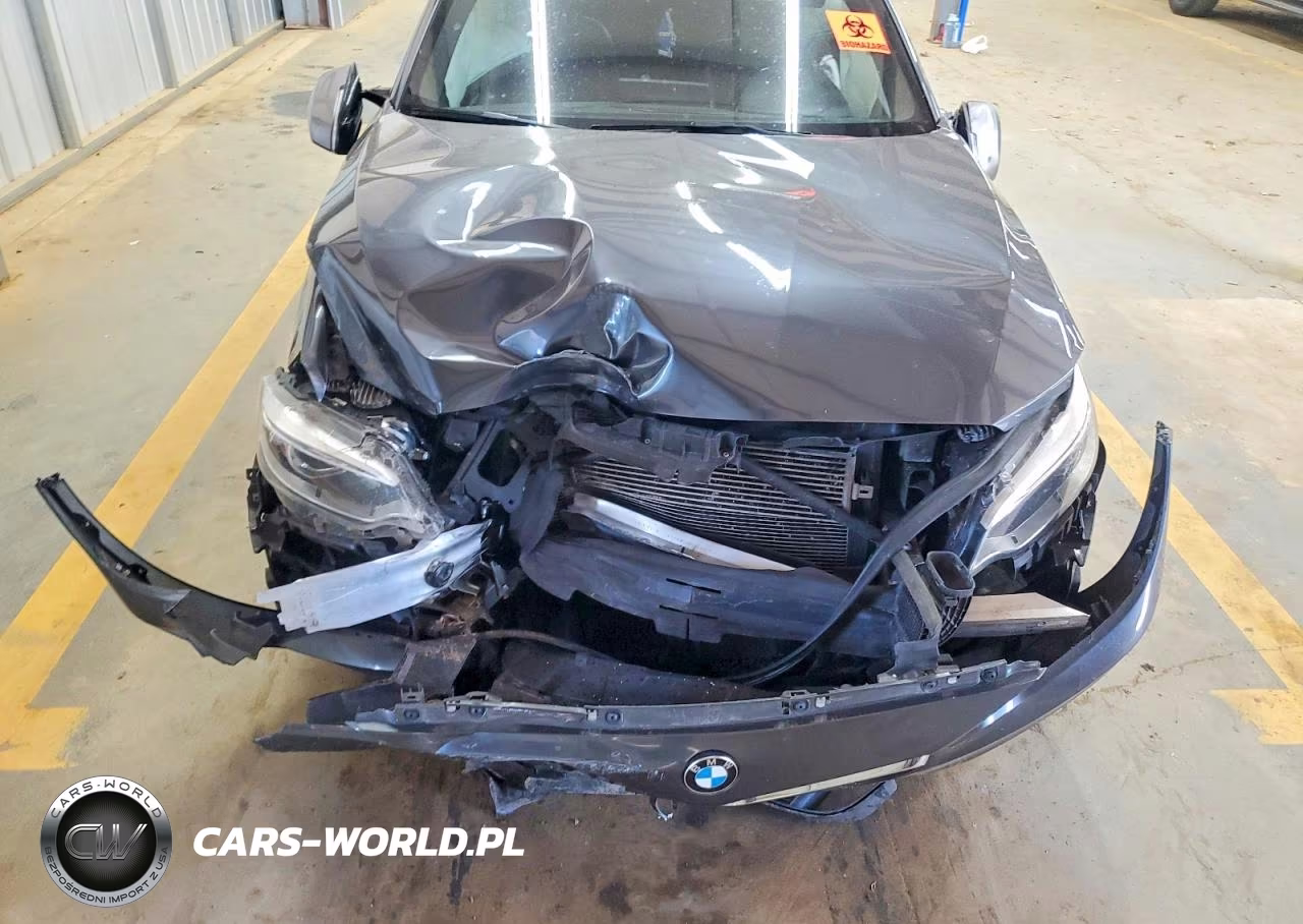 2016 BMW M235I VIN:WBA1J7C58GV360788 - 11