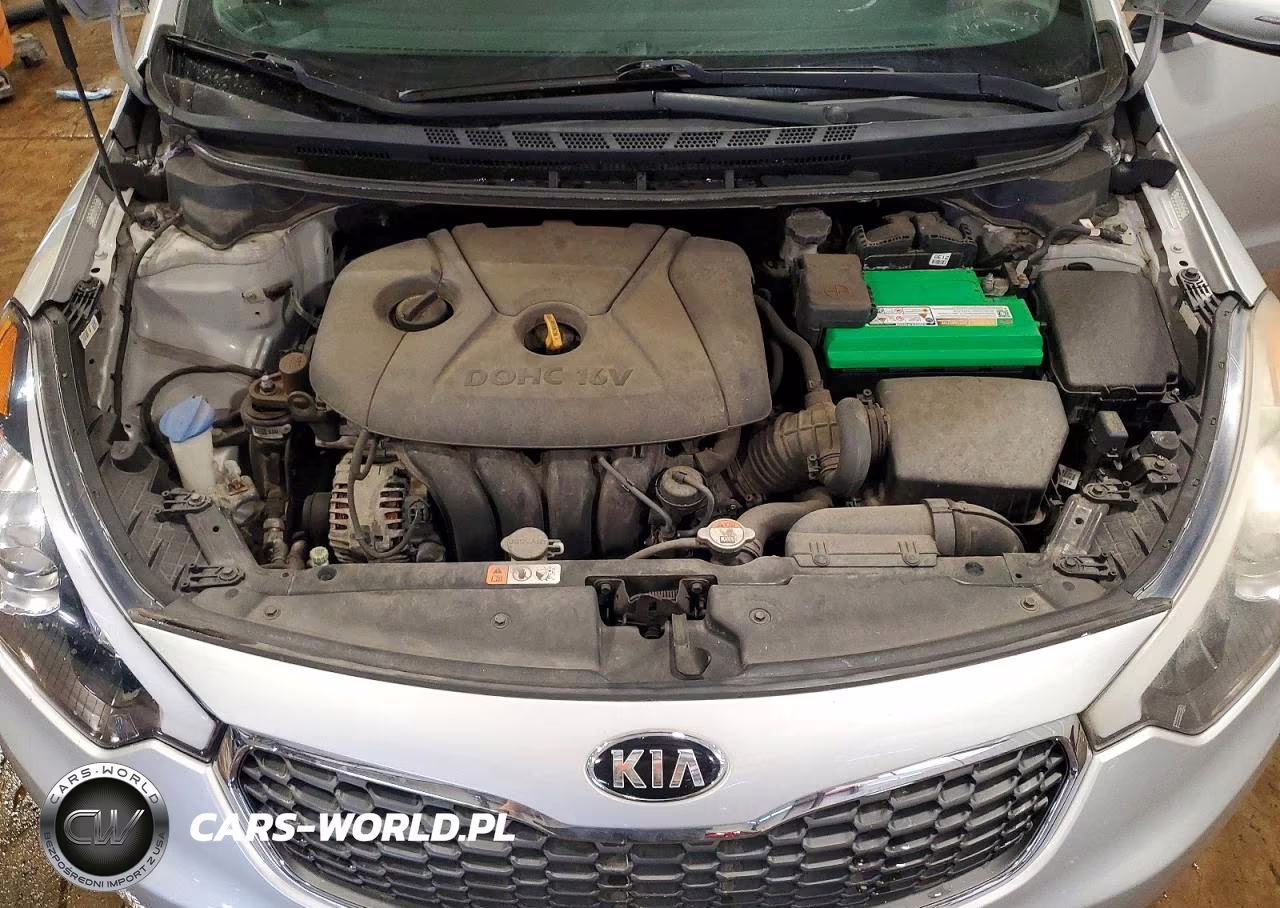 2016 Kia Forte Lx VIN:KNAFX4A61G5576044 - 11