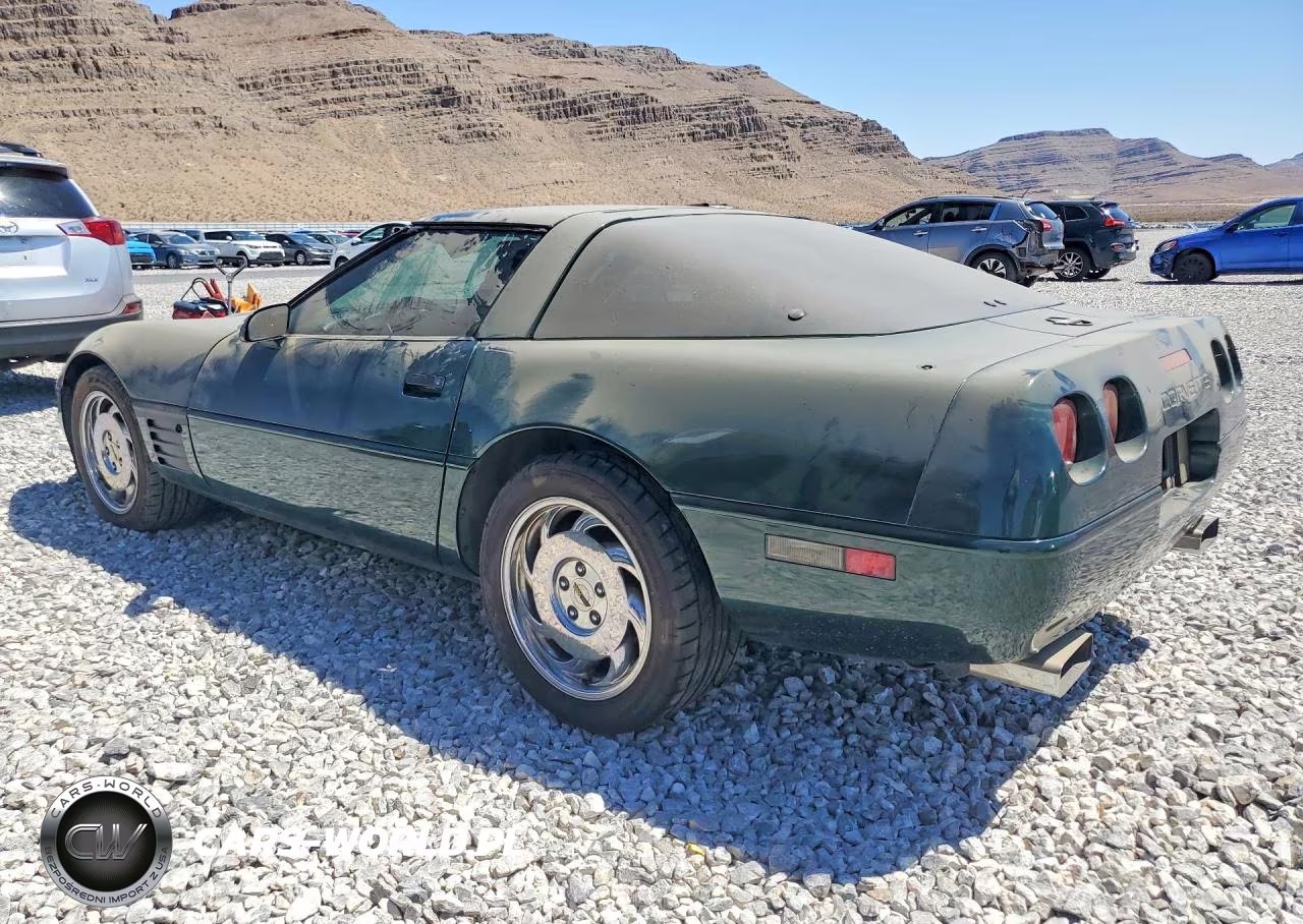 1993 Chevrolet Corvette VIN:1G1YY23P3P5119599 - 2
