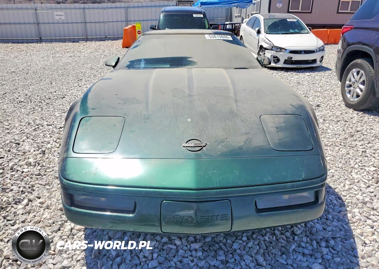 1993 Chevrolet Corvette VIN:1G1YY23P3P5119599 - 5