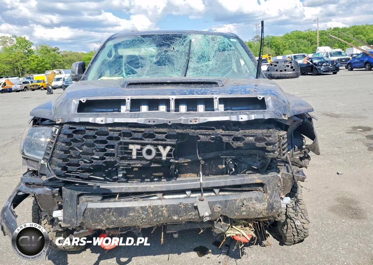 2021 Toyota Tundra Trd Pro VIN:5TFDY5F1XMX007056 - 5