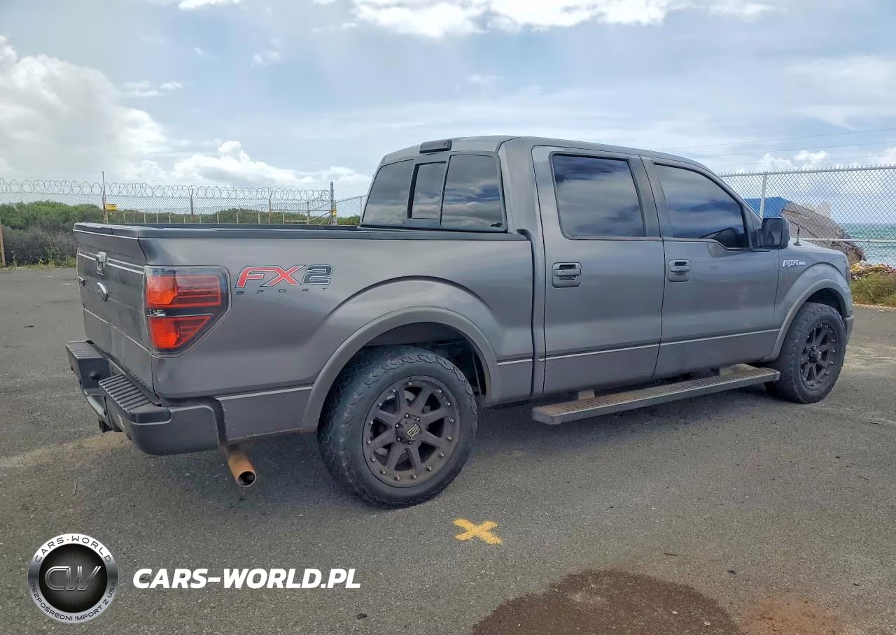2010 Ford F150 Supercrew VIN:1FTFW1CV8AKB98497 - 3