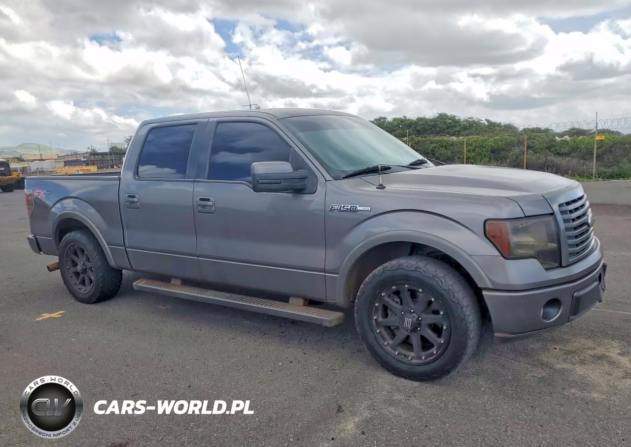 2010 Ford F150 Supercrew VIN:1FTFW1CV8AKB98497 - 4