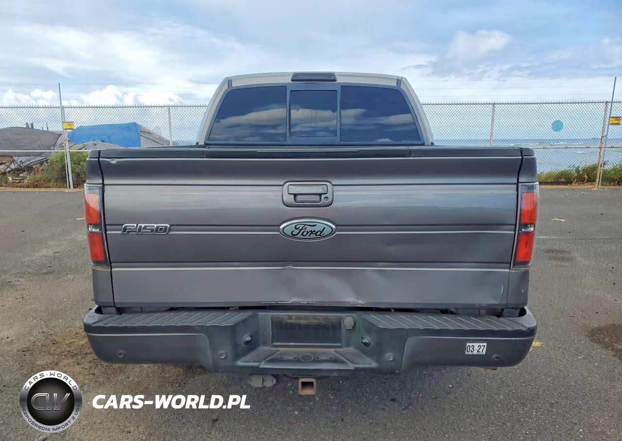 2010 Ford F150 Supercrew VIN:1FTFW1CV8AKB98497 - 6