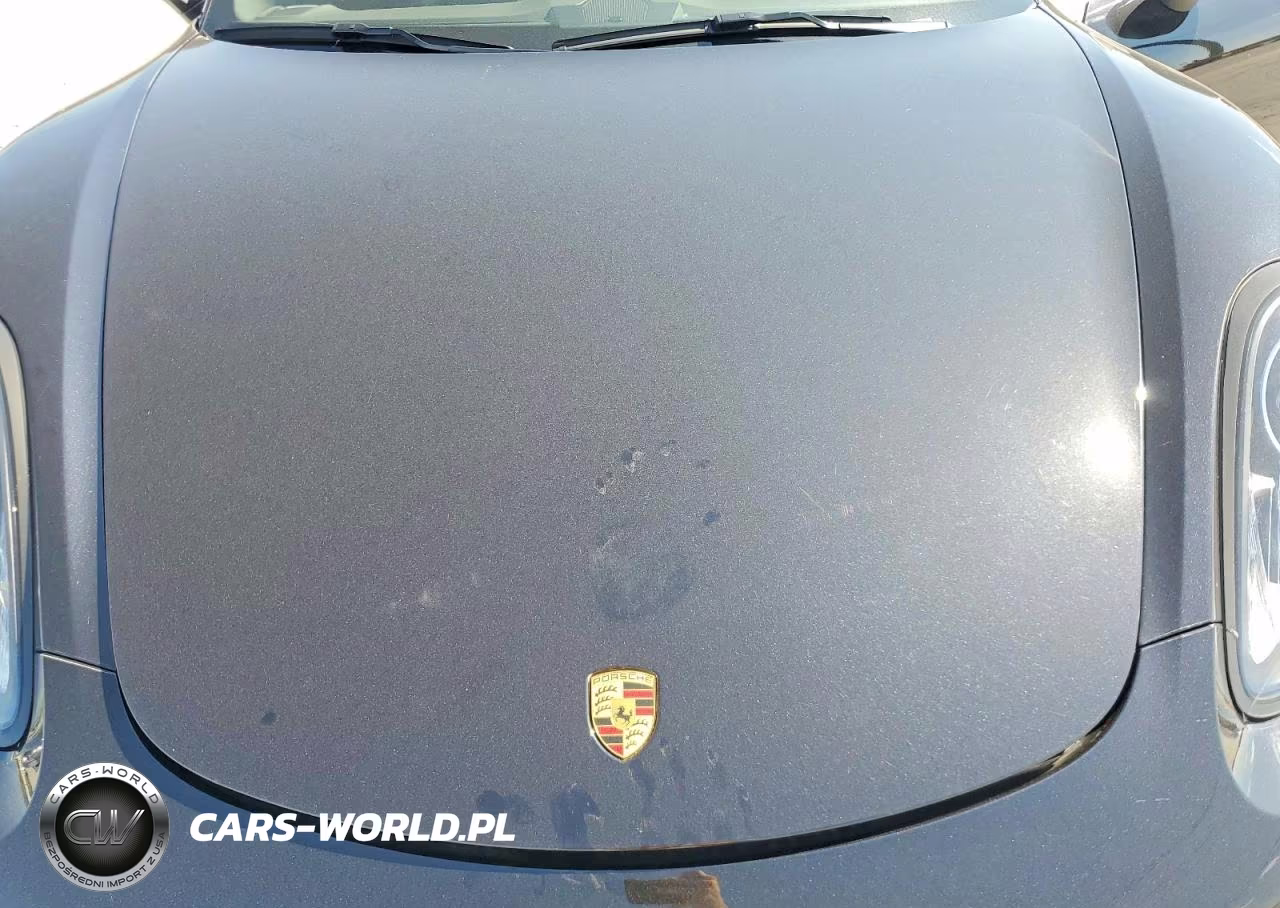 2016 Porsche Boxster VIN:WP0CA2A81GS120771 - 11