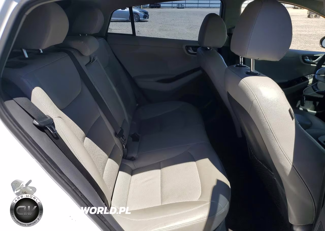 2018 Hyundai Ioniq Limited VIN:KMHC85LC6JU101641 - 10