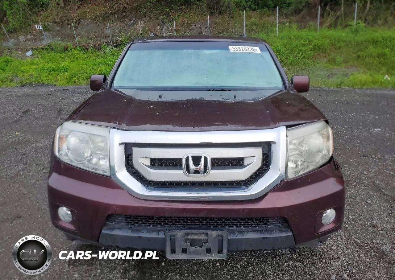 2010 Honda Pilot Exl VIN:5FNYF4H50AB026464 - 5