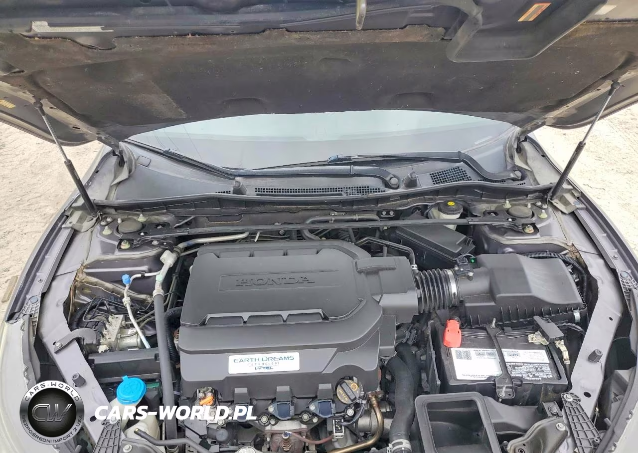 2014 Honda Accord Exl VIN:1HGCR3F84EA020045 - 11