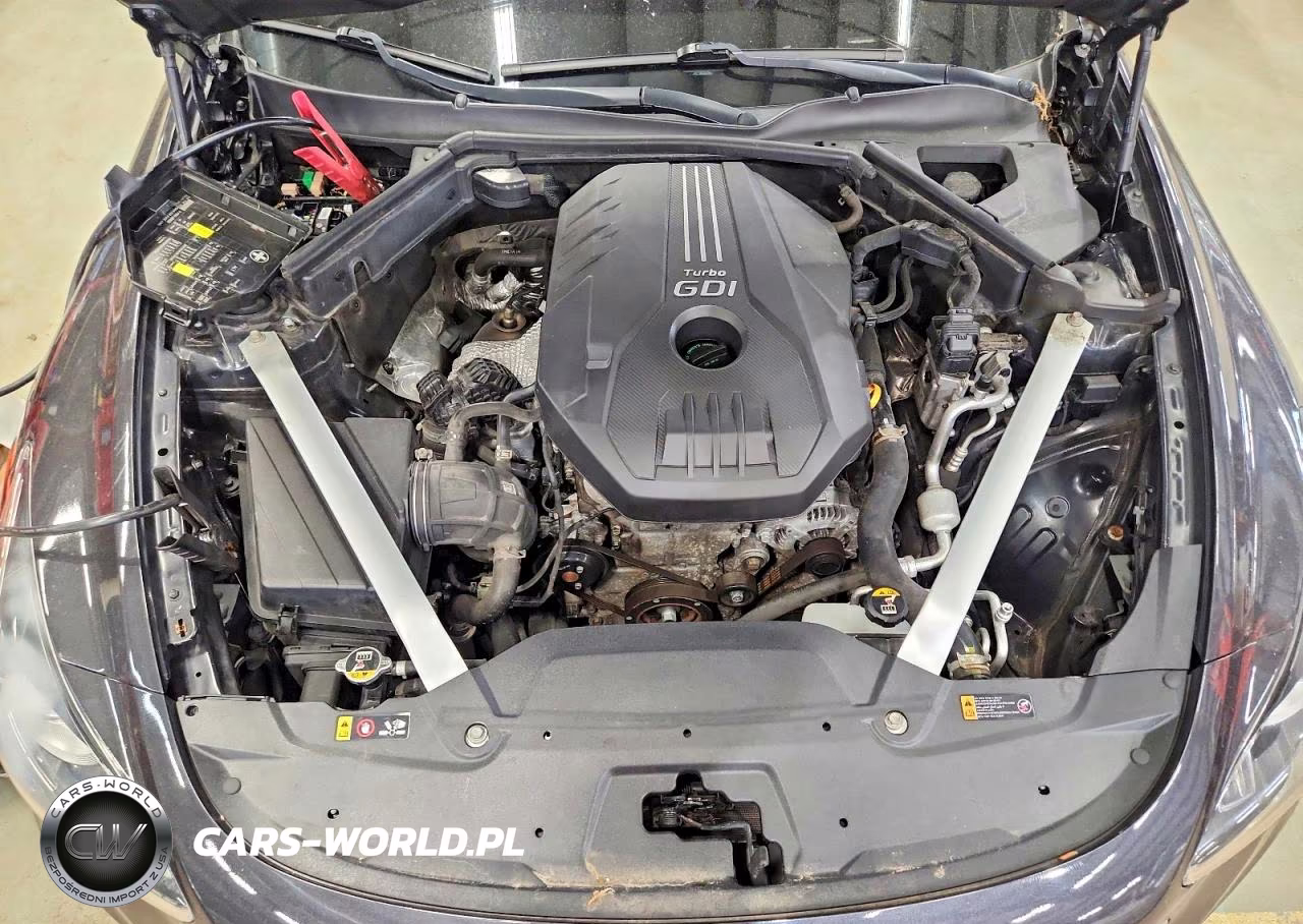 2019 Kia Stinger Base VIN:KNAE15LA0K6051161 - 11