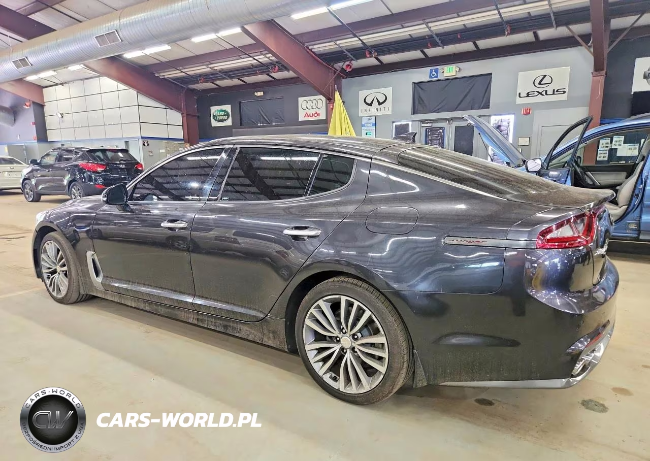 2019 Kia Stinger Base VIN:KNAE15LA0K6051161 - 2