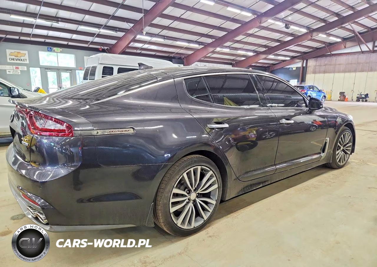 2019 Kia Stinger Base VIN:KNAE15LA0K6051161 - 3