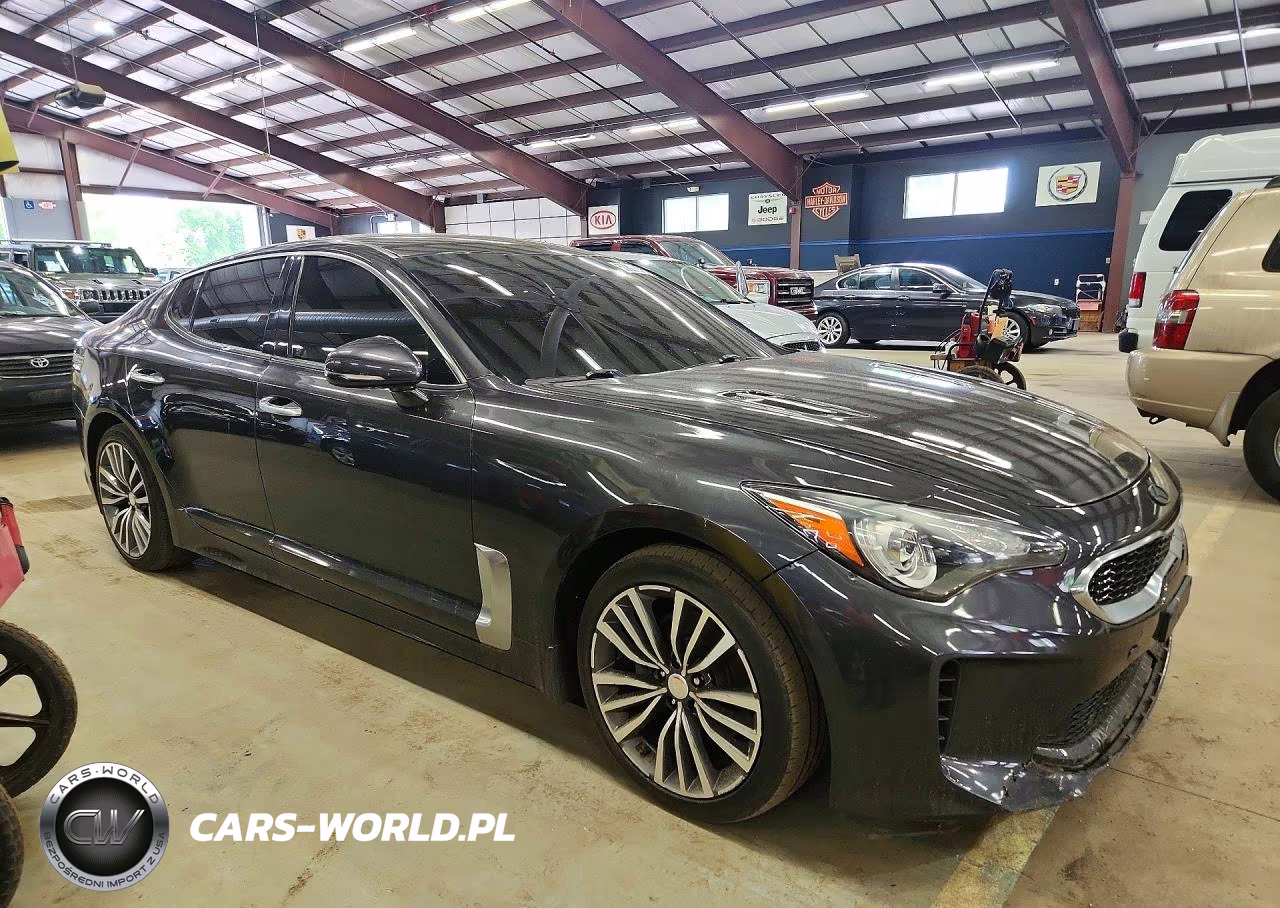 2019 Kia Stinger Base VIN:KNAE15LA0K6051161 - 4