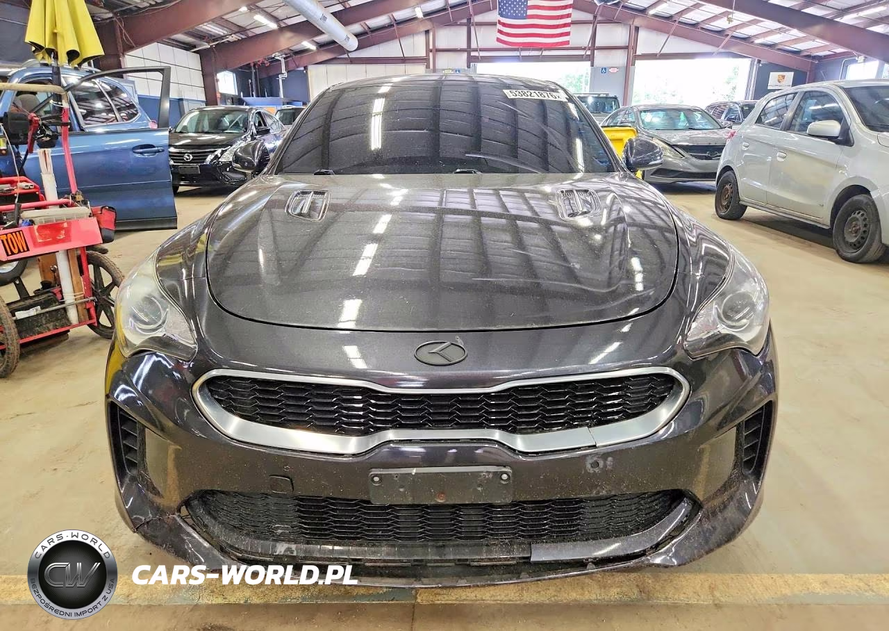 2019 Kia Stinger Base VIN:KNAE15LA0K6051161 - 5