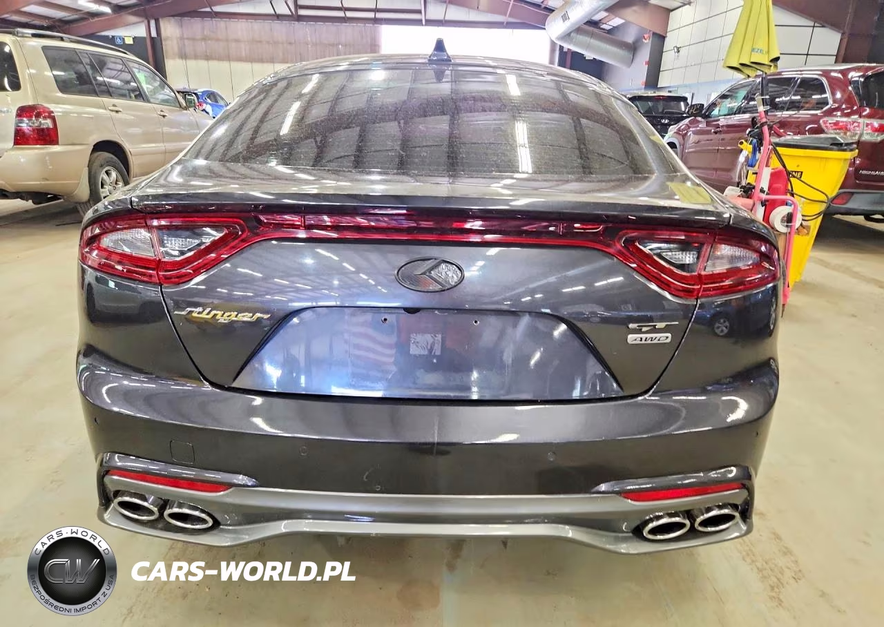 2019 Kia Stinger Base VIN:KNAE15LA0K6051161 - 6
