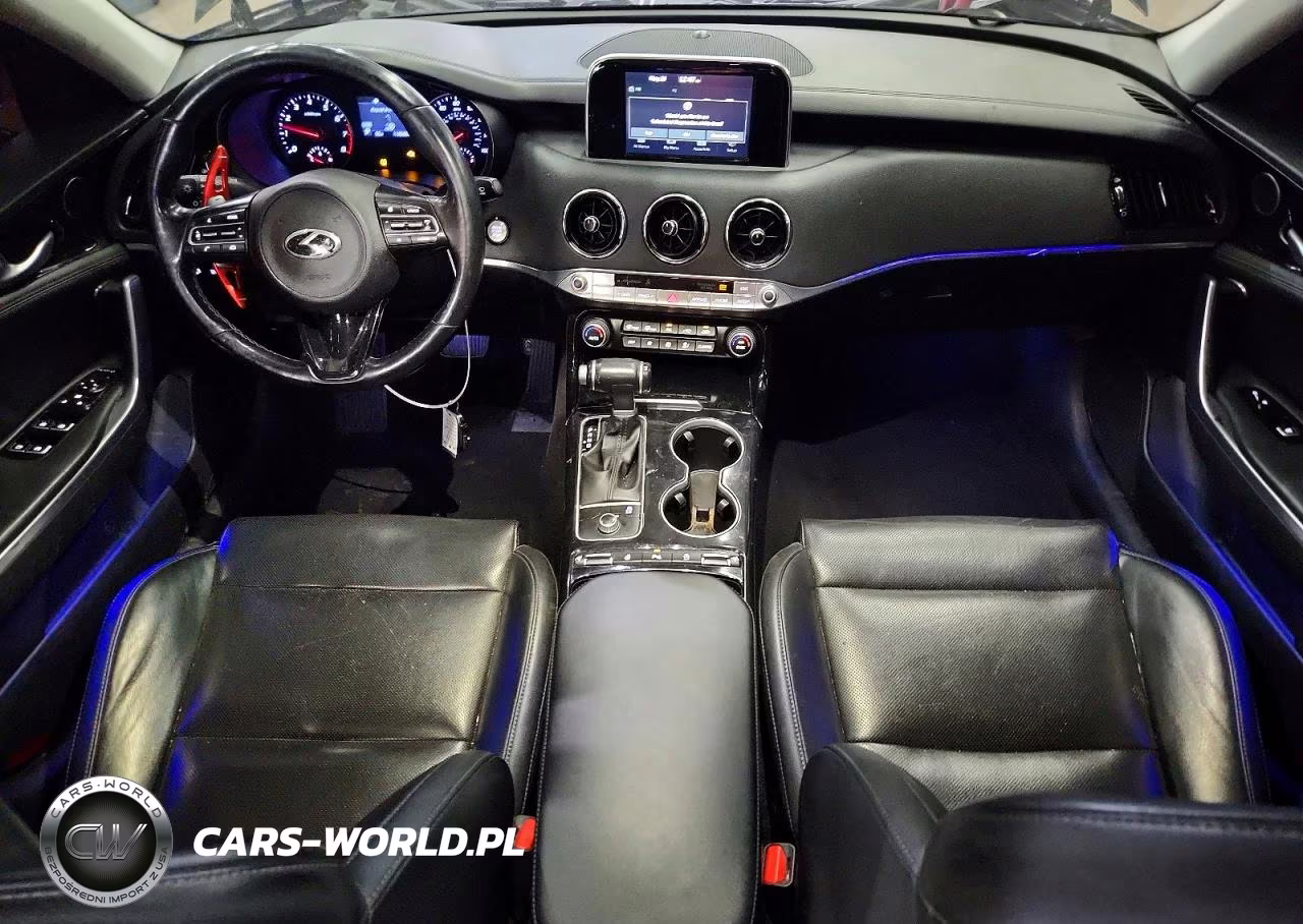 2019 Kia Stinger Base VIN:KNAE15LA0K6051161 - 8