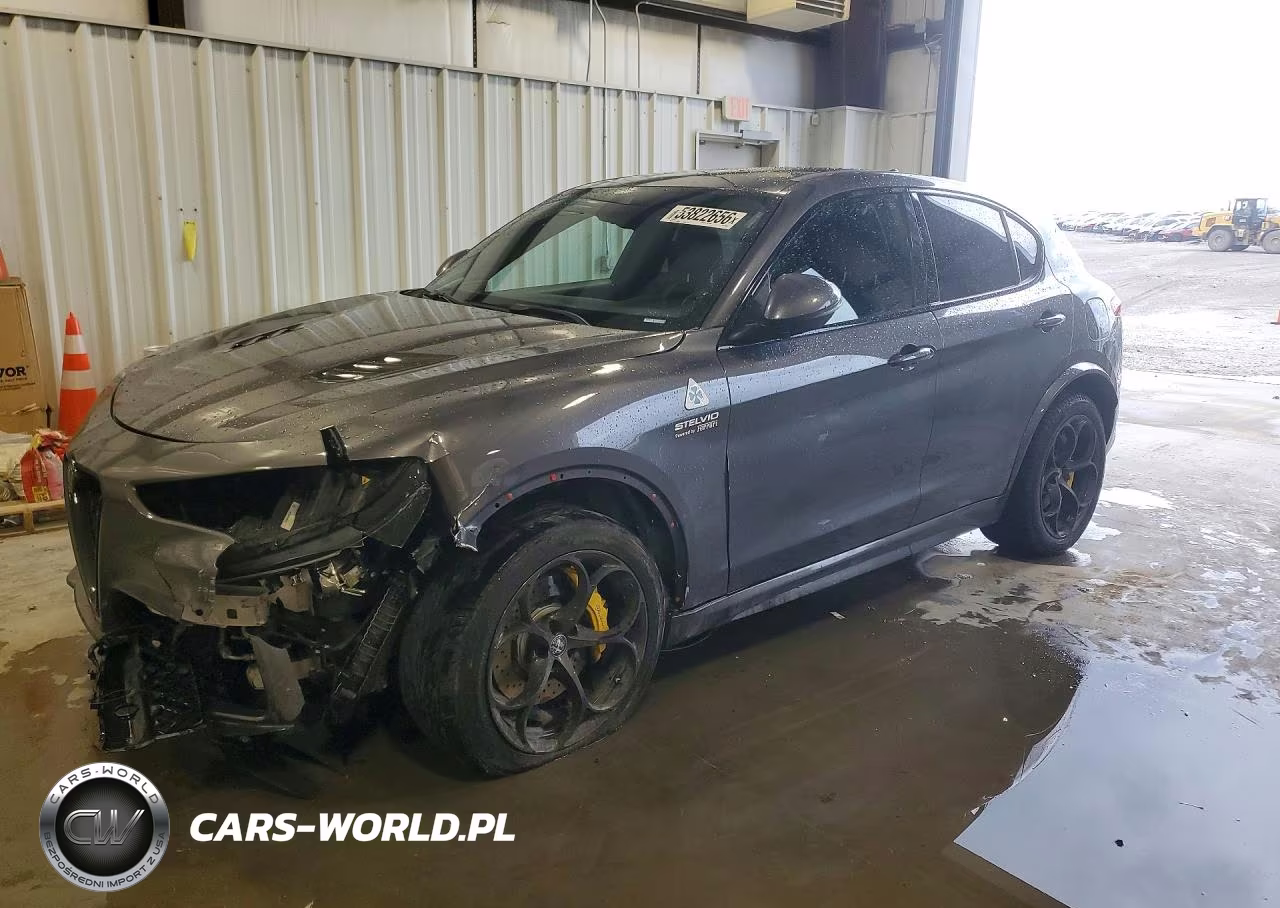2018 Alfa Romeo Stelvio Quadrifoglio – zdjęcie 1 z 13