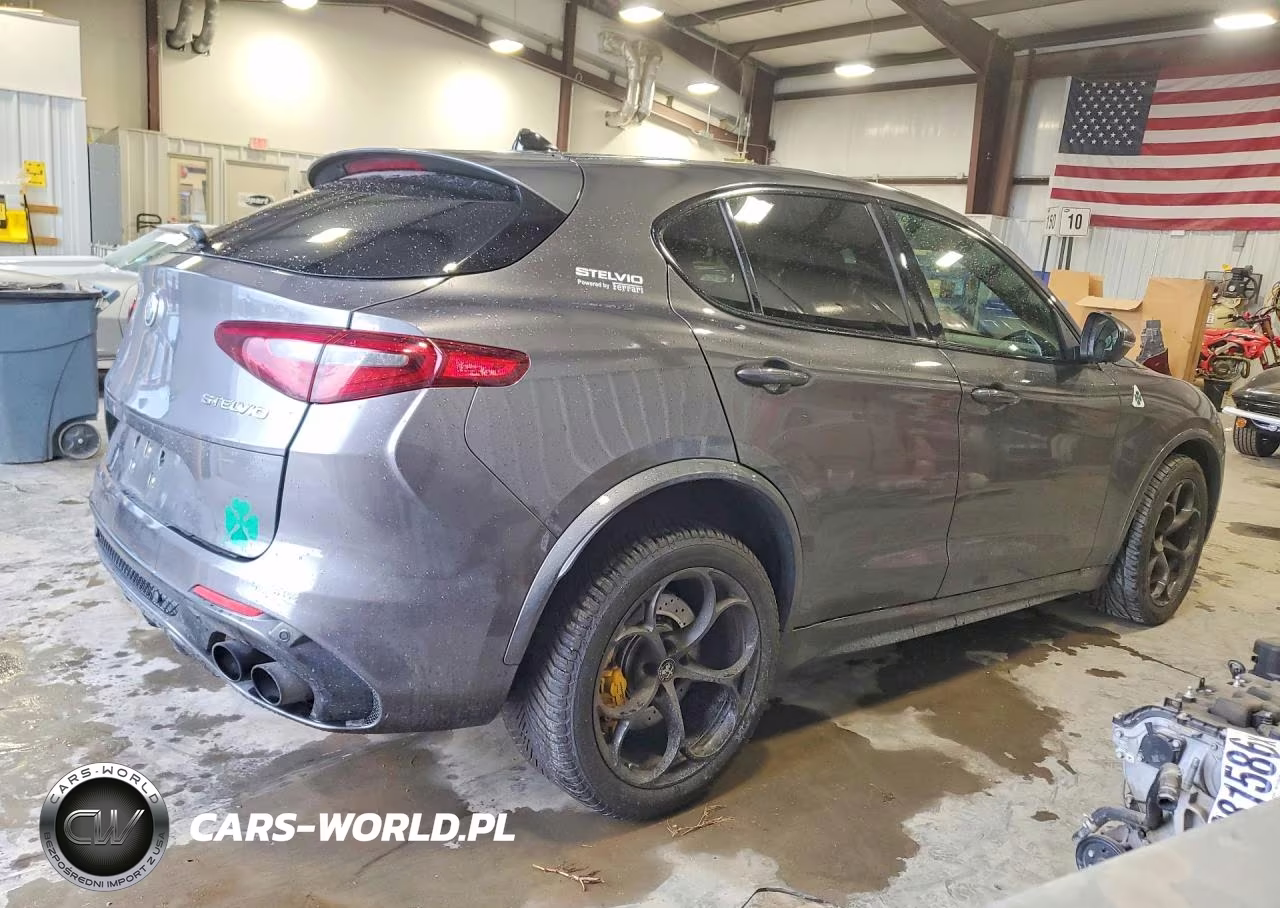 2018 Alfa Romeo Stelvio Quadrifoglio VIN:ZASFAKEV8J7C20154 - 3