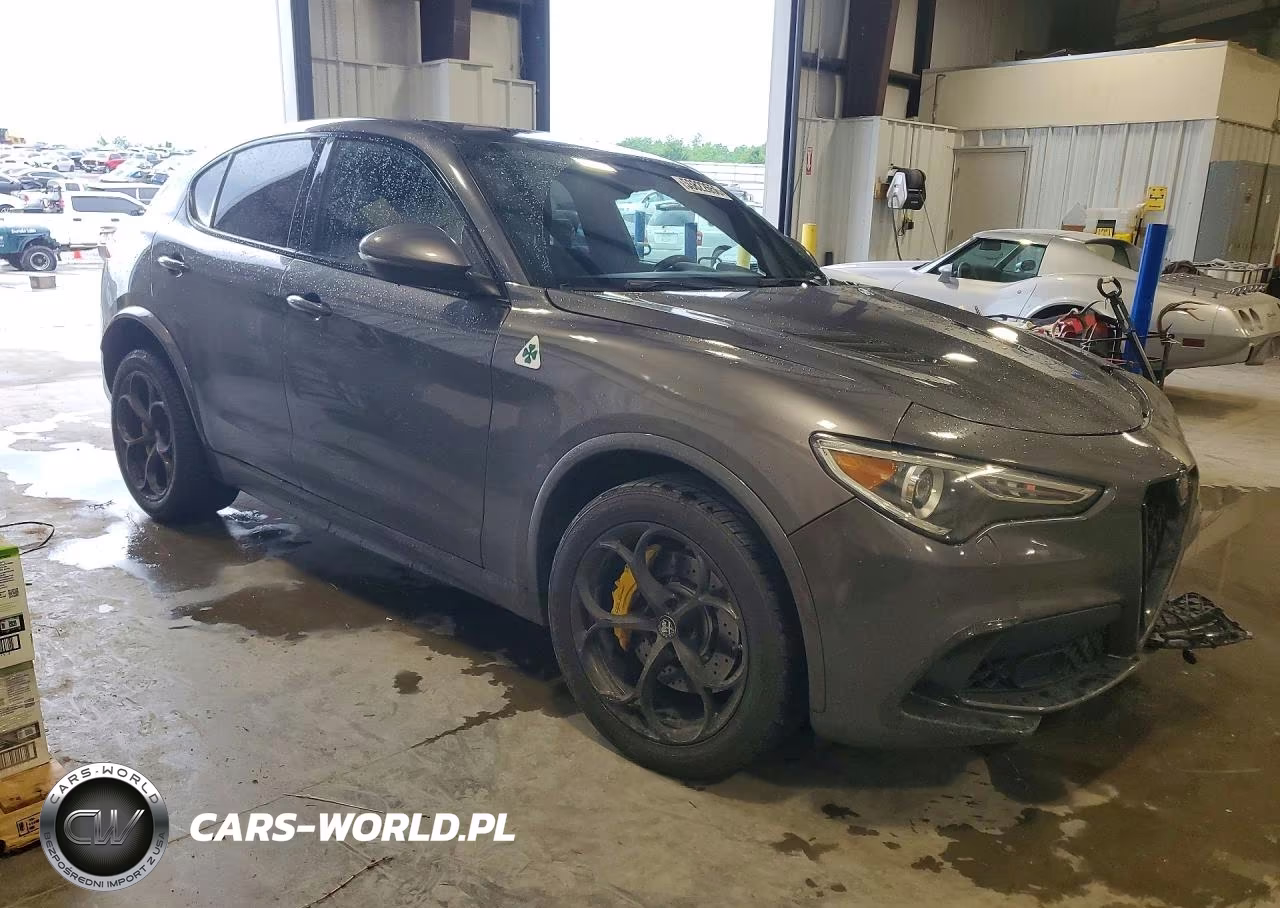 2018 Alfa Romeo Stelvio Quadrifoglio VIN:ZASFAKEV8J7C20154 - 4
