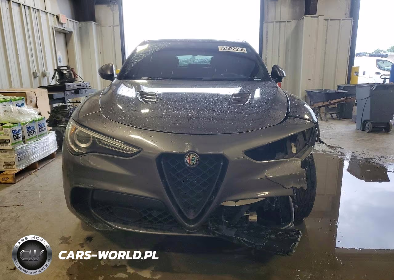 2018 Alfa Romeo Stelvio Quadrifoglio VIN:ZASFAKEV8J7C20154 - 5