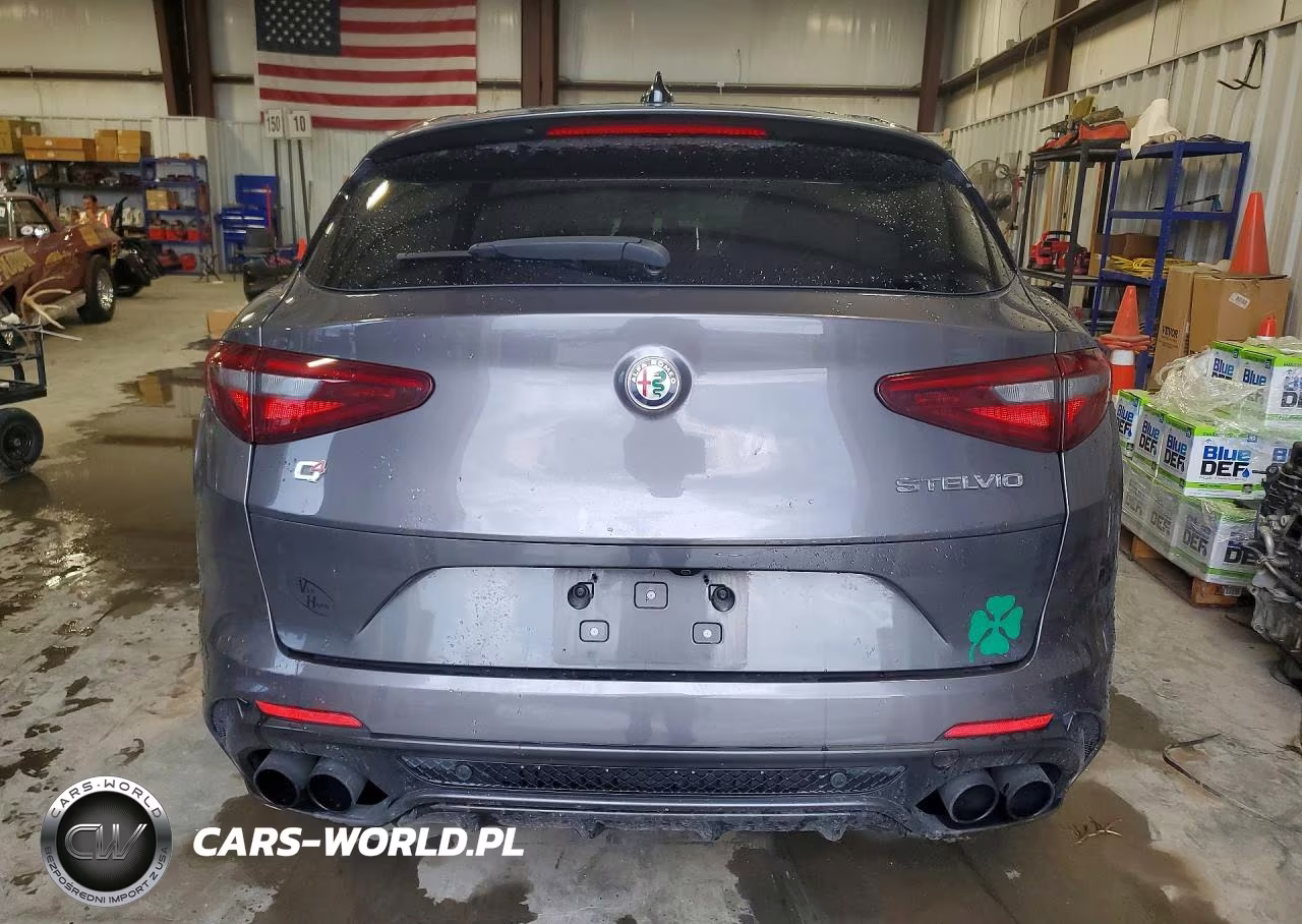2018 Alfa Romeo Stelvio Quadrifoglio VIN:ZASFAKEV8J7C20154 - 6