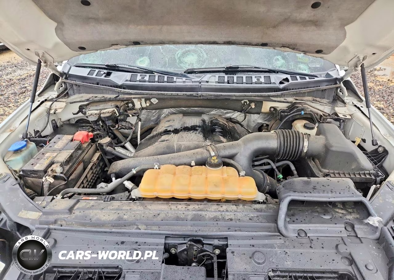 2015 Ford F150 Supercrew VIN:1FTEW1EG3FKE39805 - 11