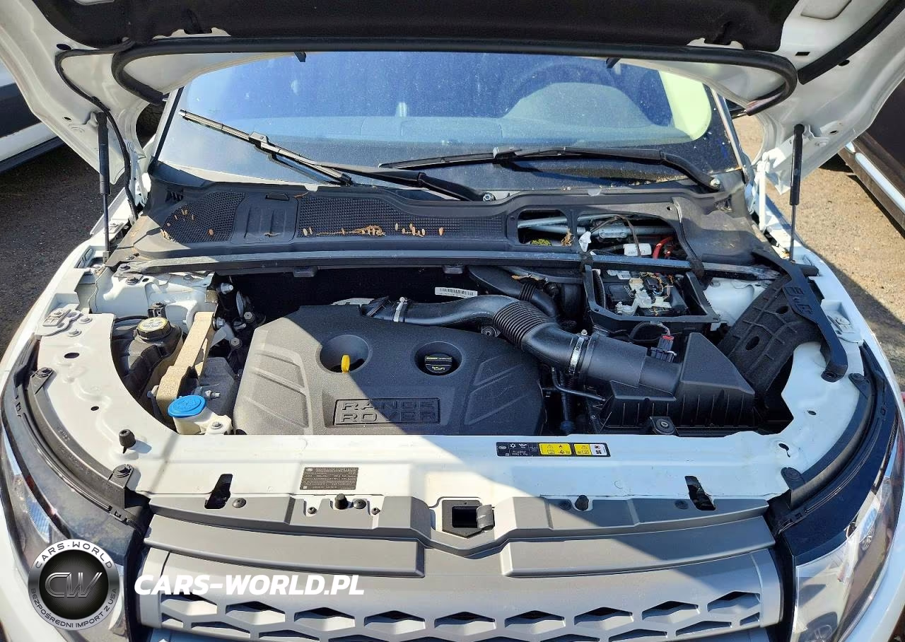 2014 Land Rover Range Rover Evoque Pure Plus VIN:SALVP2BG5EH886227 - 12