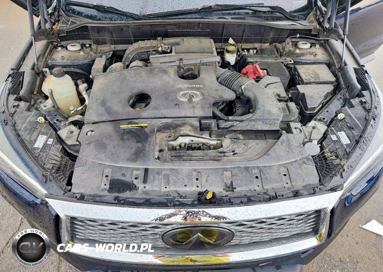 2019 Infiniti Qx50 Essential VIN:3PCAJ5M10KF145240 - 12