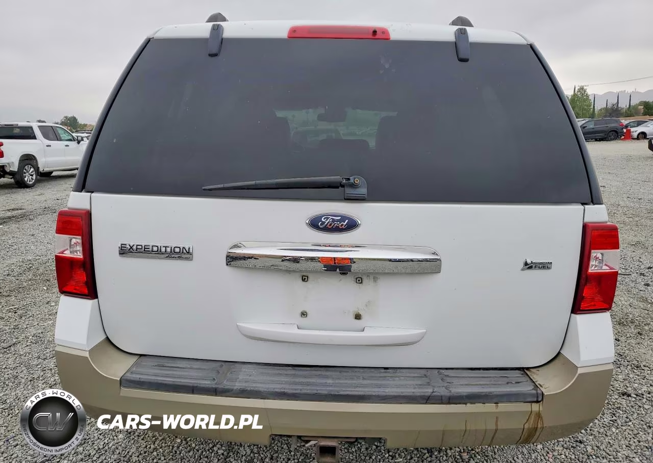 2010 Ford Expedition Eddie Bauer VIN:1FMJU1H58AEB21521 - 6