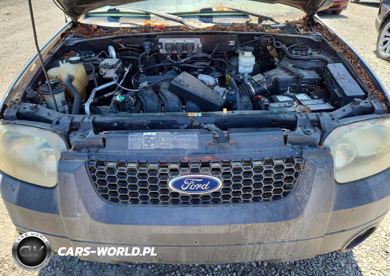 2005 Ford Escape VIN:1FMCU93155KD65405 - 12