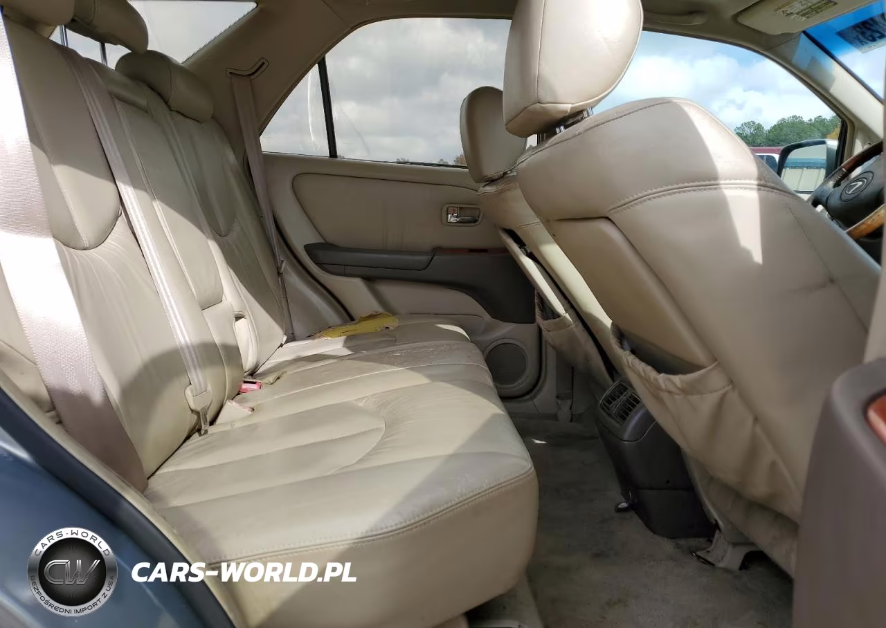 2001 Lexus Rx 300 VIN:JTJGF10U210102100 - 11