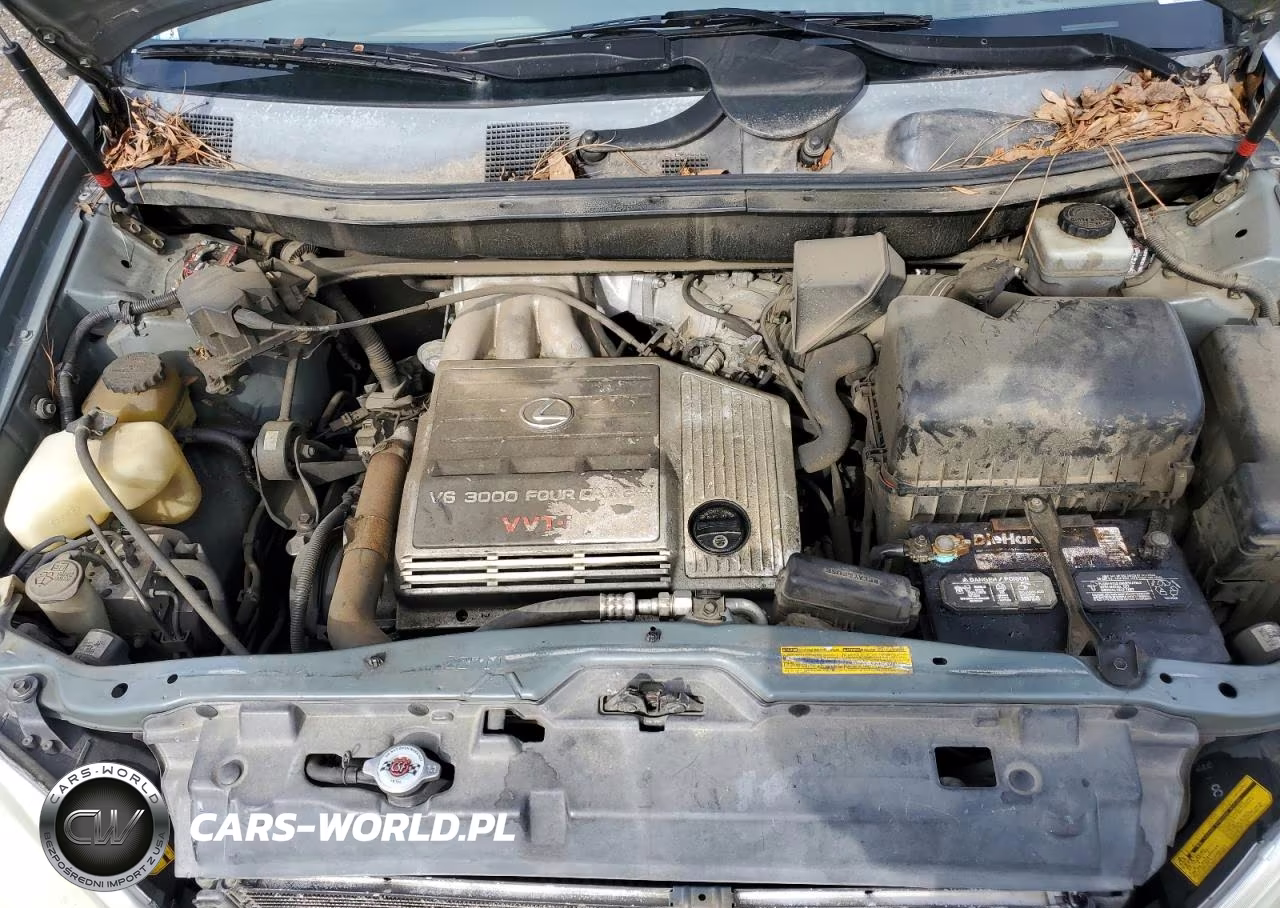 2001 Lexus Rx 300 VIN:JTJGF10U210102100 - 12