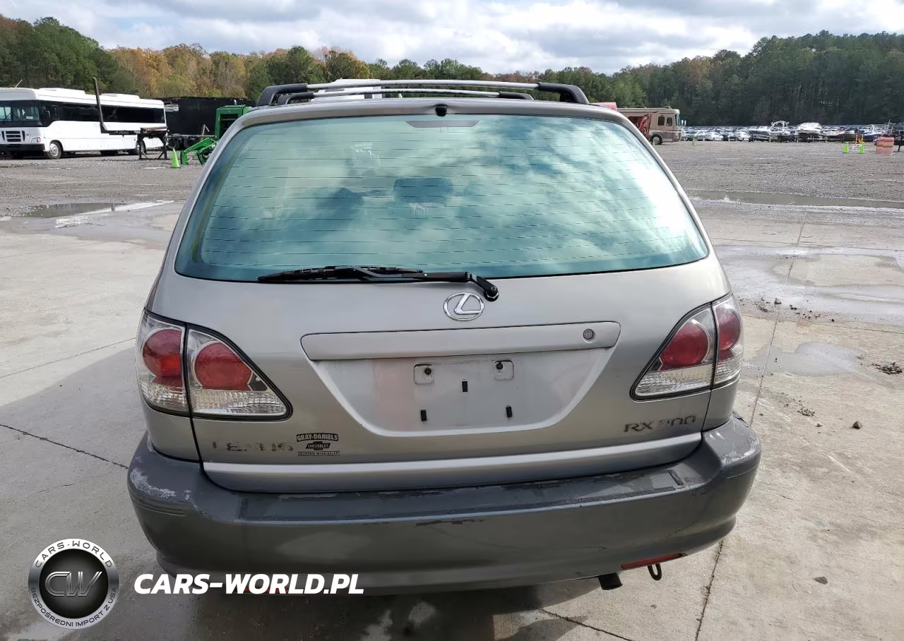 2001 Lexus Rx 300 VIN:JTJGF10U210102100 - 6