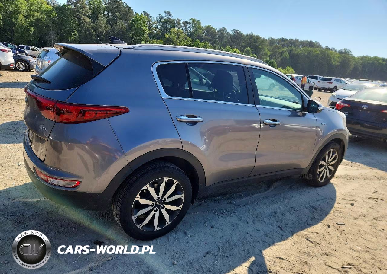 2017 Kia Sportage VIN:KNDPNCAC8H7216272 - 3