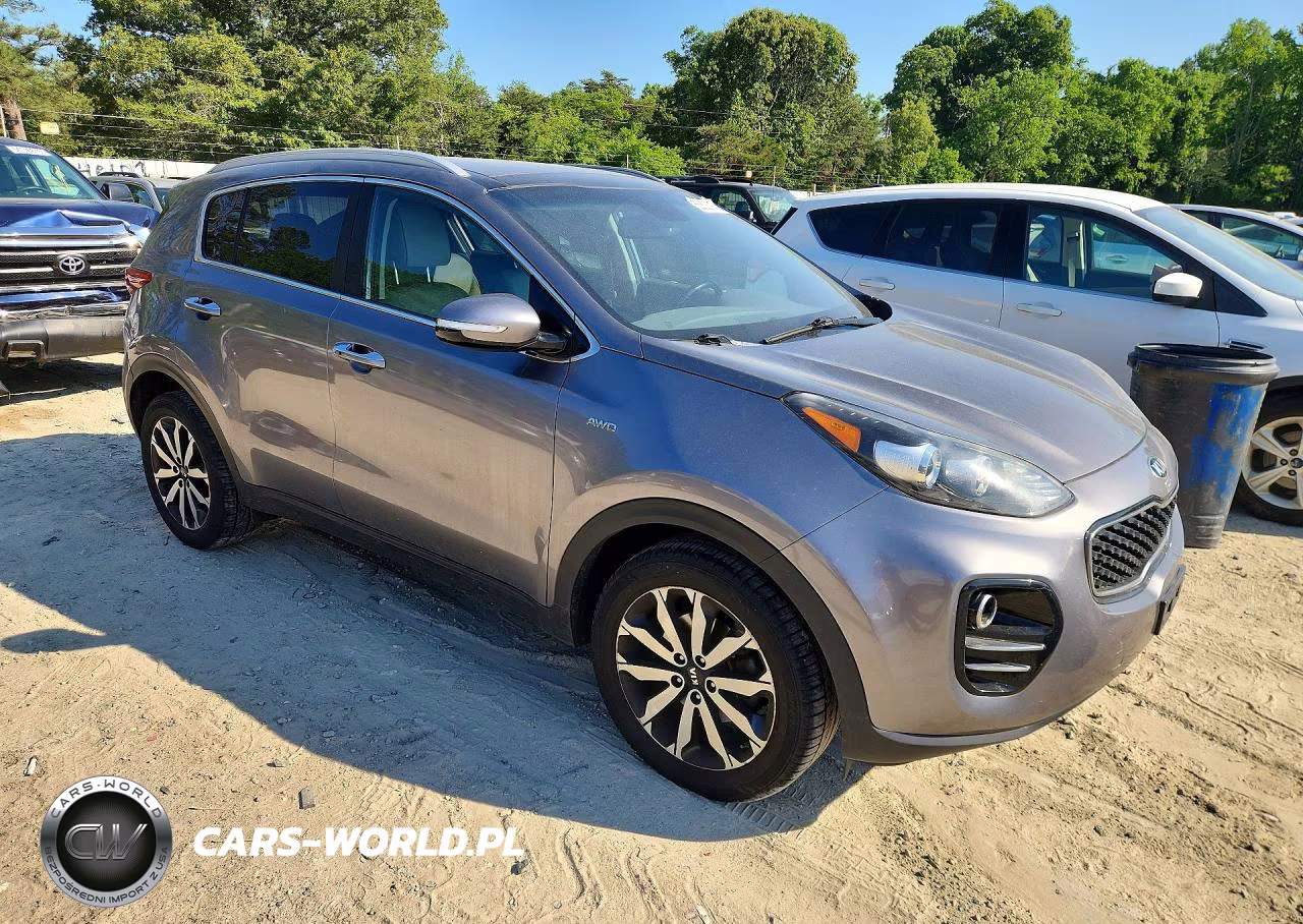 2017 Kia Sportage VIN:KNDPNCAC8H7216272 - 4