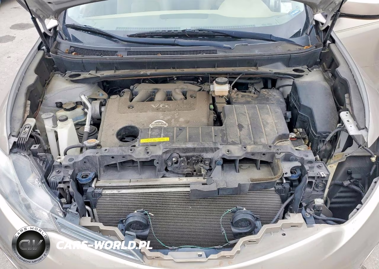 2010 Nissan Murano S VIN:JN8AZ1MU2AW017558 - 12