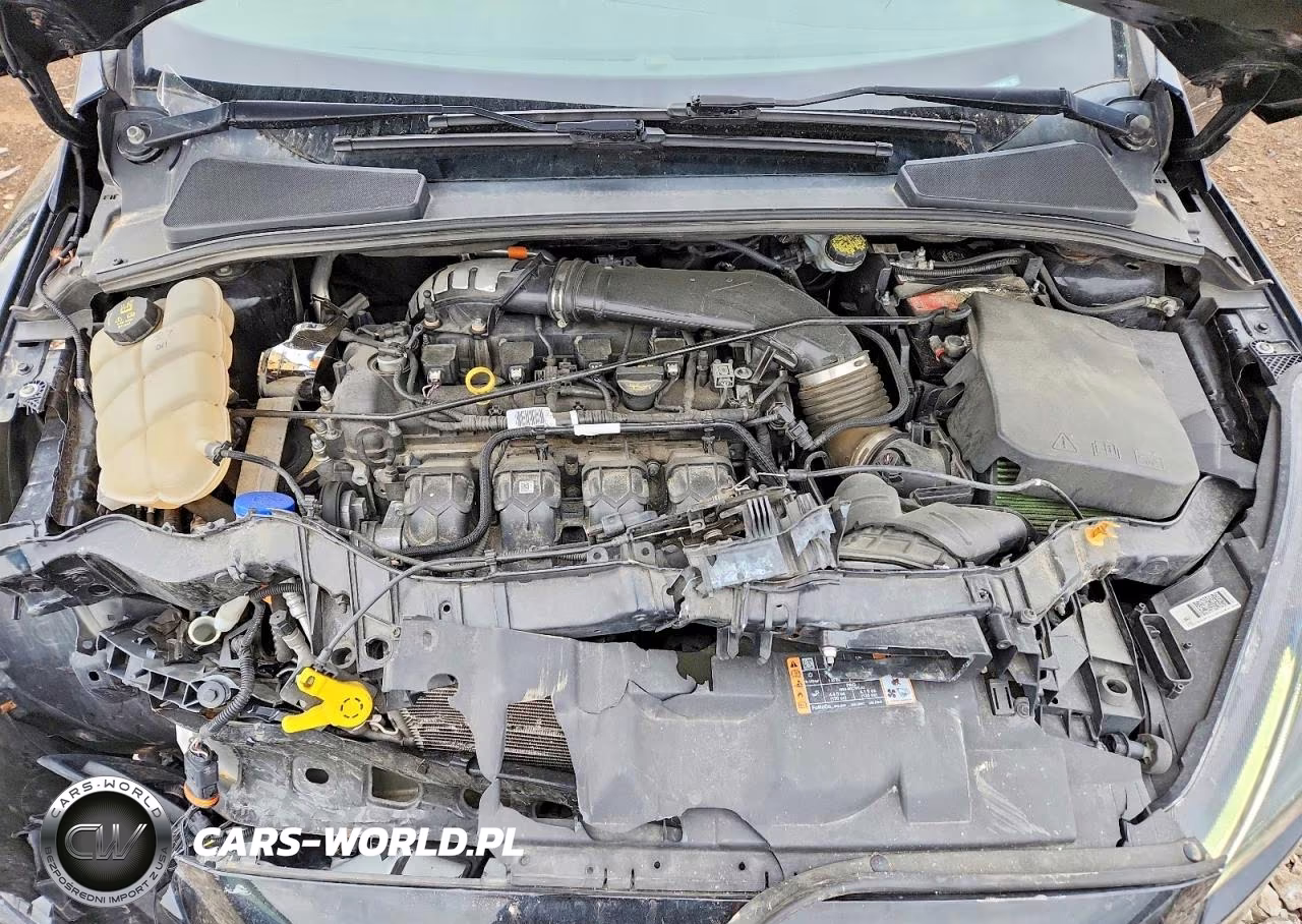 2018 Ford Focus St VIN:1FADP3L95JL203545 - 11