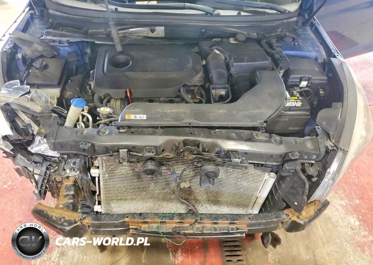 2016 Hyundai Sonata Se VIN:5NPE24AF9GH295073 - 11