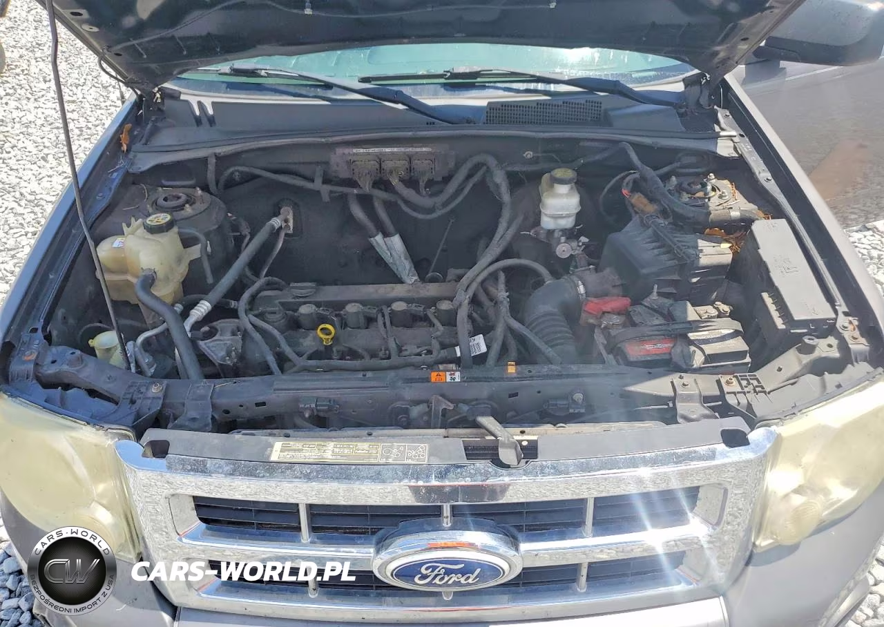 2011 Ford Escape Xlt VIN:1FMCU0D72BKA55707 - 11