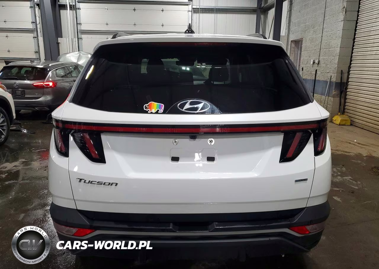 2023 Hyundai Tucson Sel VIN:5NMJBCAE6PH215368 - 6