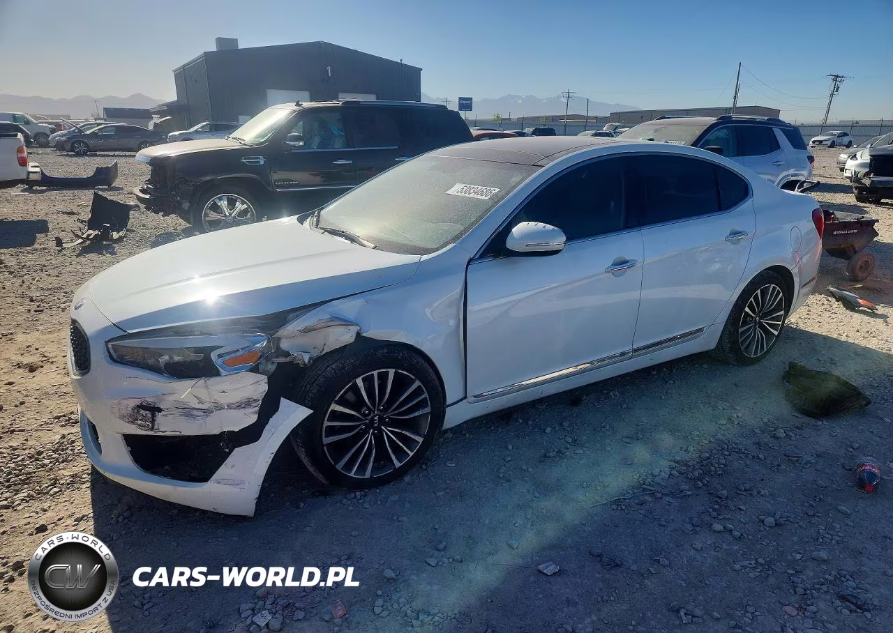 2014 Kia Cadenza Premium