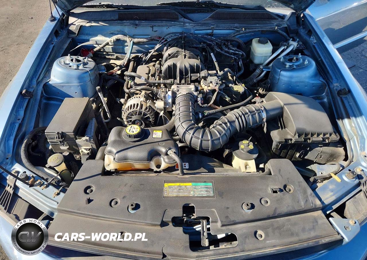 2007 Ford Mustang VIN:1ZVFT80N275271194 - 11