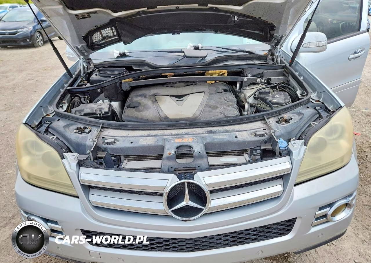 2008 Mercedes-Benz Gl 320 Cdi VIN:4JGBF22E58A395242 - 12