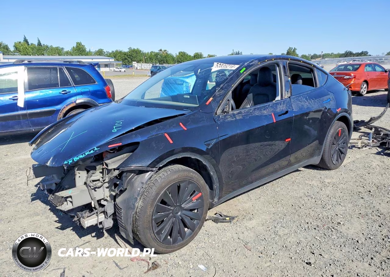 2020 Tesla Model Y