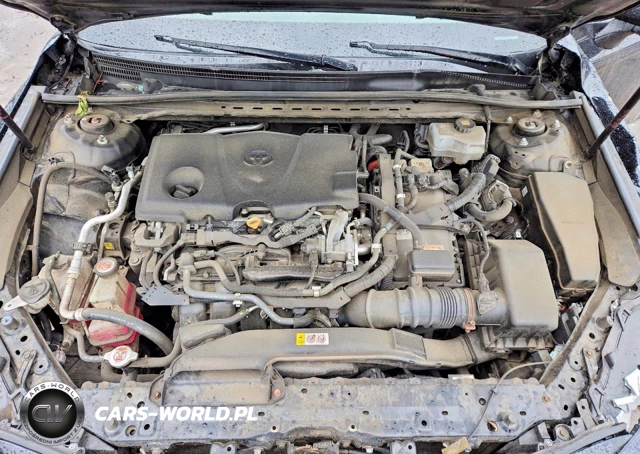2019 Toyota Camry Le VIN:4T1B31HK7KU509151 - 11