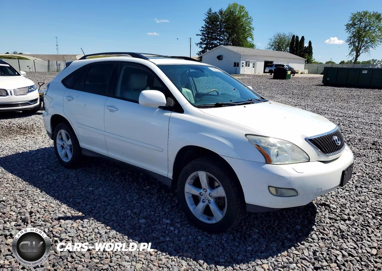 2006 Lexus Rx 330 VIN:2T2HA31U46C107338 - 4
