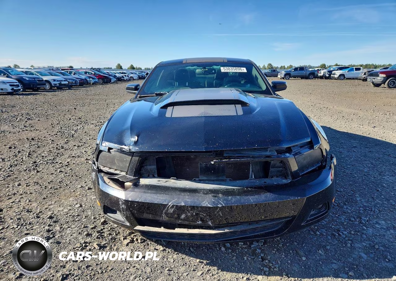 2012 Ford Mustang VIN:1ZVBP8AM9C5205289 - 5