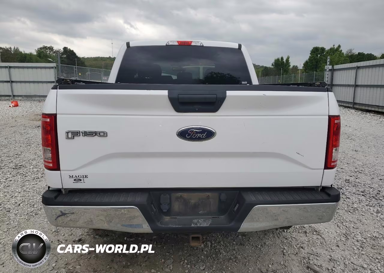 2017 Ford F150 Supercrew VIN:1FTEW1EF3HKE25784 - 6