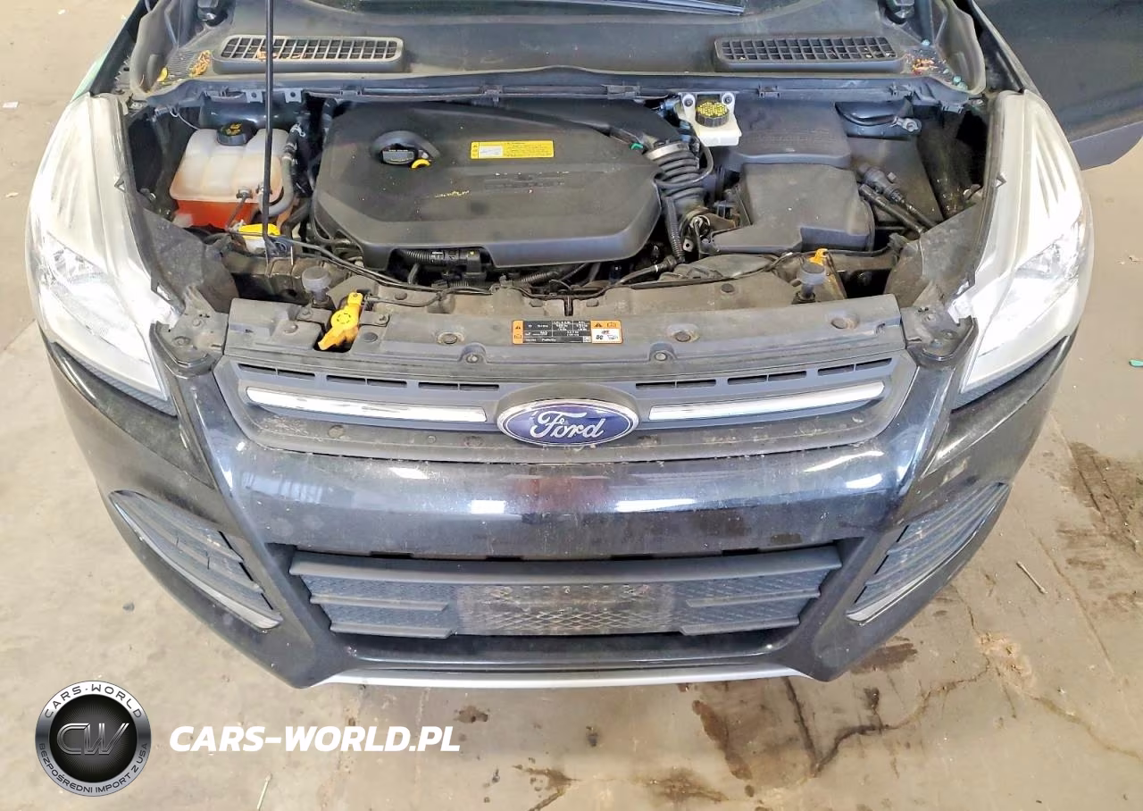 2014 Ford Escape Se VIN:1FMCU9GXXEUC35459 - 12