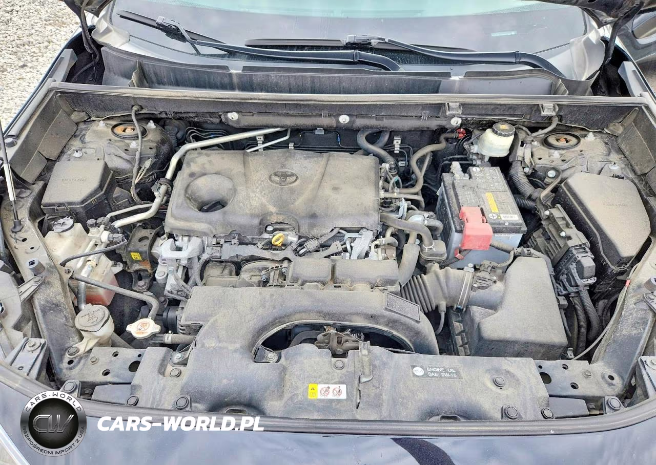 2019 Toyota Rav4 Xle VIN:2T3P1RFV8KW041509 - 12